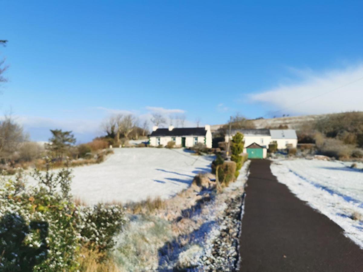 New Listing - Ladybird Cottage - Donegal - Wild Atlantic Way Donegal Town Eksteriør billede