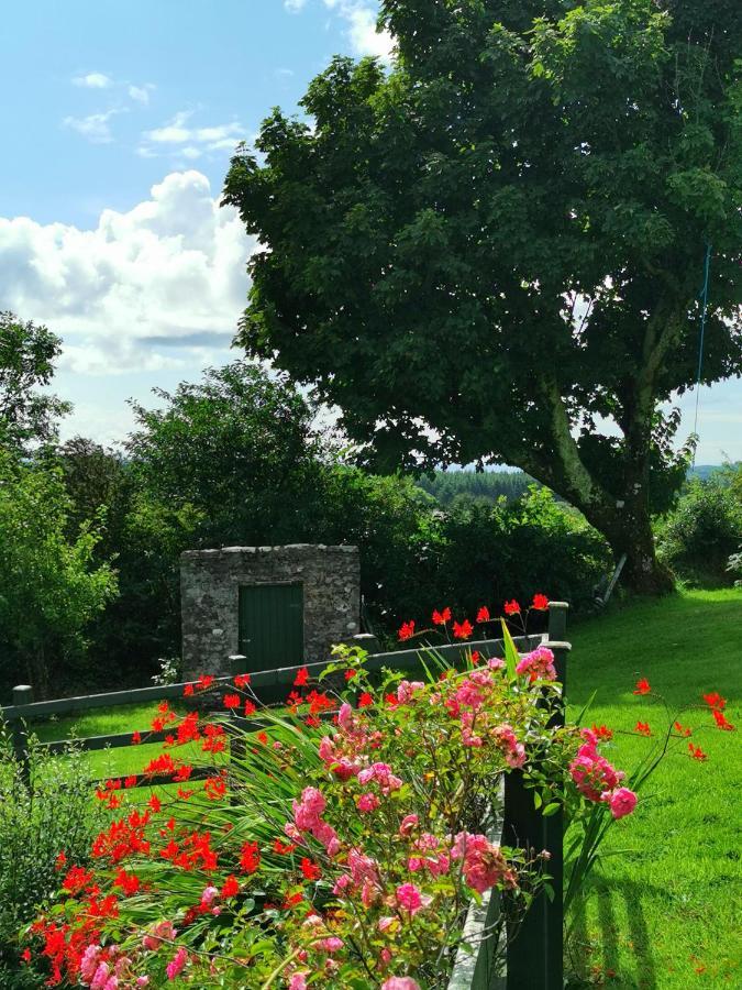 New Listing - Ladybird Cottage - Donegal - Wild Atlantic Way Donegal Town Eksteriør billede