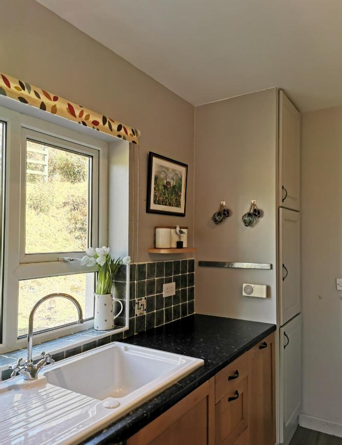 New Listing - Ladybird Cottage - Donegal - Wild Atlantic Way Donegal Town Eksteriør billede