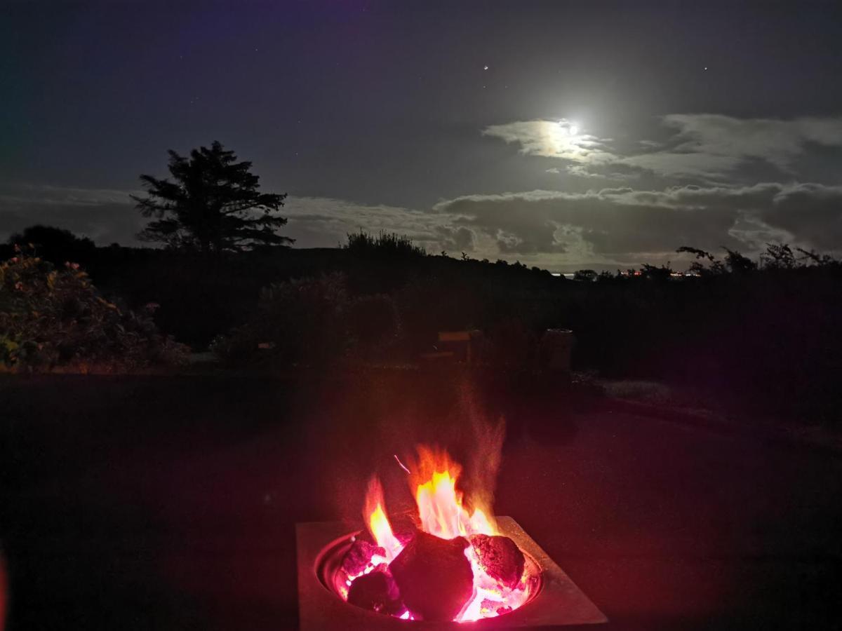 New Listing - Ladybird Cottage - Donegal - Wild Atlantic Way Donegal Town Eksteriør billede