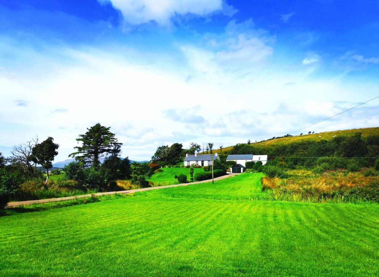 New Listing - Ladybird Cottage - Donegal - Wild Atlantic Way Donegal Town Eksteriør billede