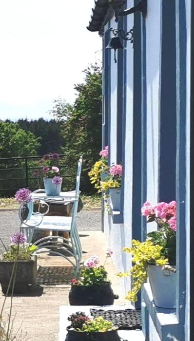 New Listing - Ladybird Cottage - Donegal - Wild Atlantic Way Donegal Town Eksteriør billede