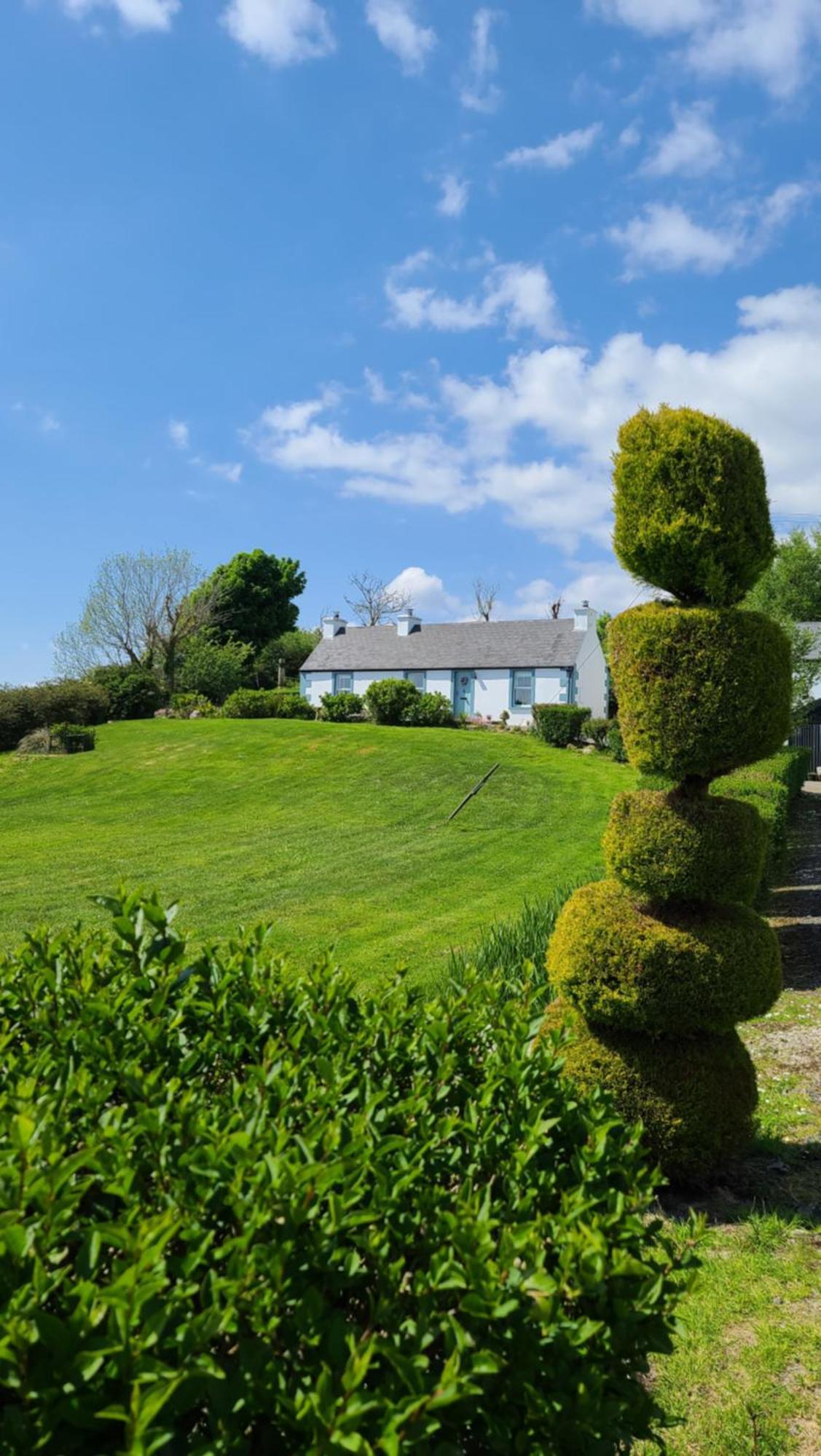 New Listing - Ladybird Cottage - Donegal - Wild Atlantic Way Donegal Town Eksteriør billede